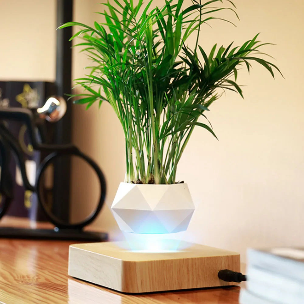 Levitating Air Bonsai Pot Rotation