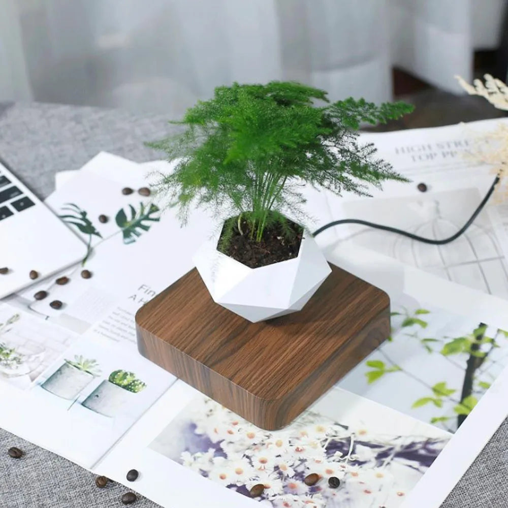 Levitating Air Bonsai Pot Rotation