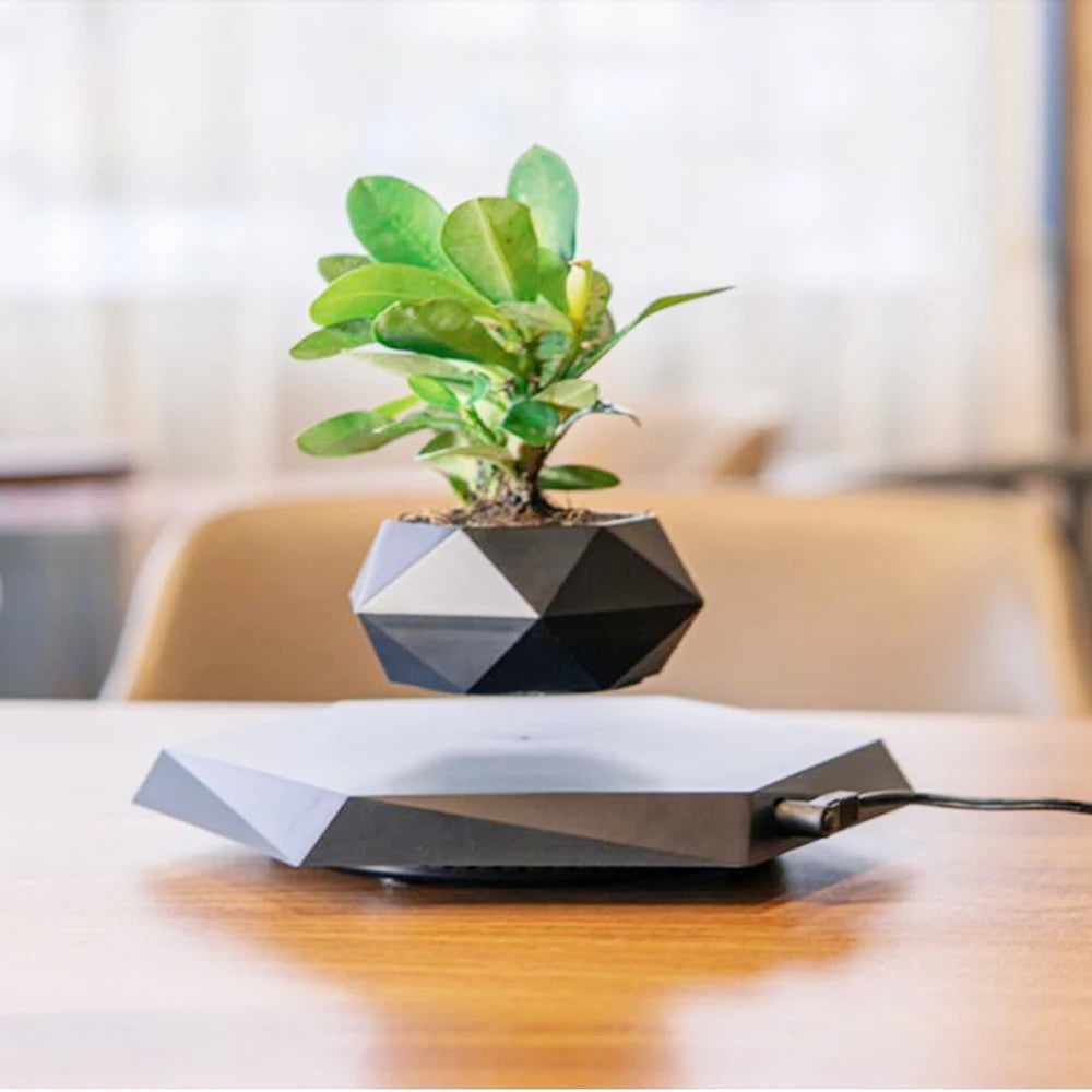 Levitating Air Bonsai Pot Rotation