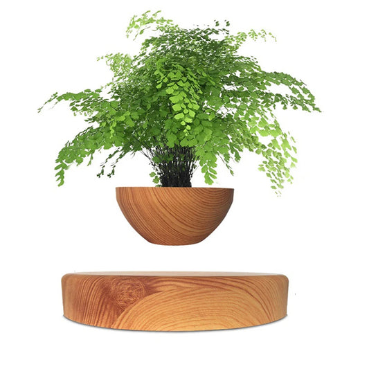 Levitating Air Bonsai Pot Rotation