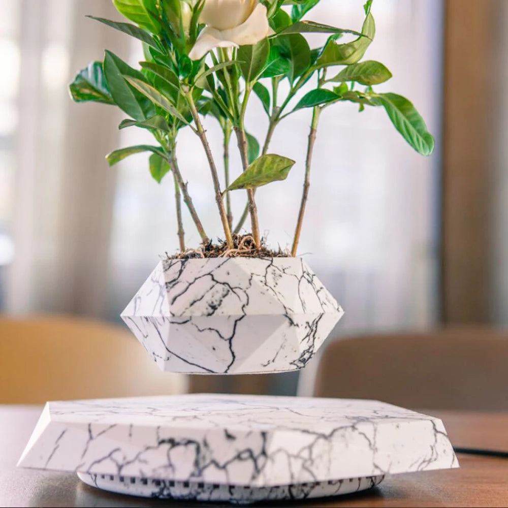 Levitating Air Bonsai Pot Rotation