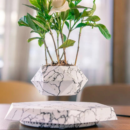 Levitating Air Bonsai Pot Rotation